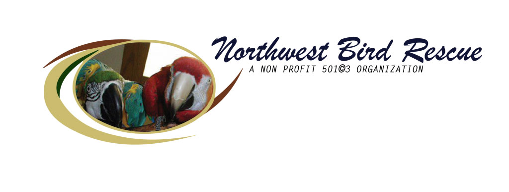 Northwest Bird Rescue